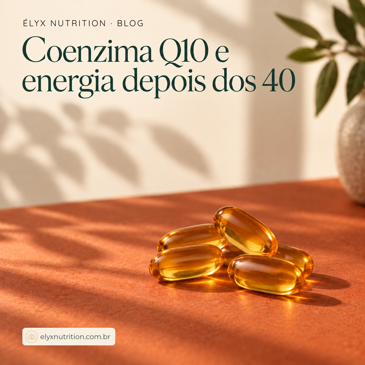 Imagem de cápsulas de coenzima Q10 sobre a mesa