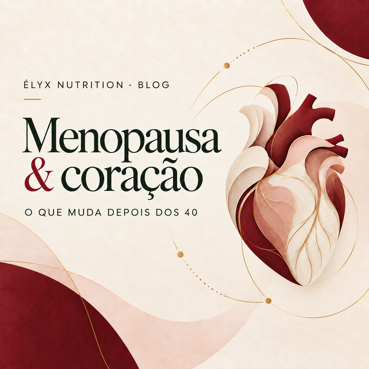 Ilustração editorial de coração em capa sobre menopausa, saúde cardiovascular e mudanças no coração depois dos 40.