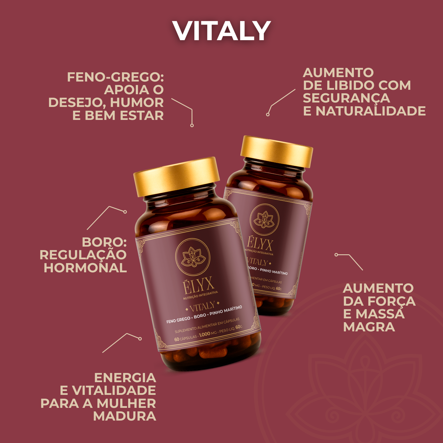Kit Active