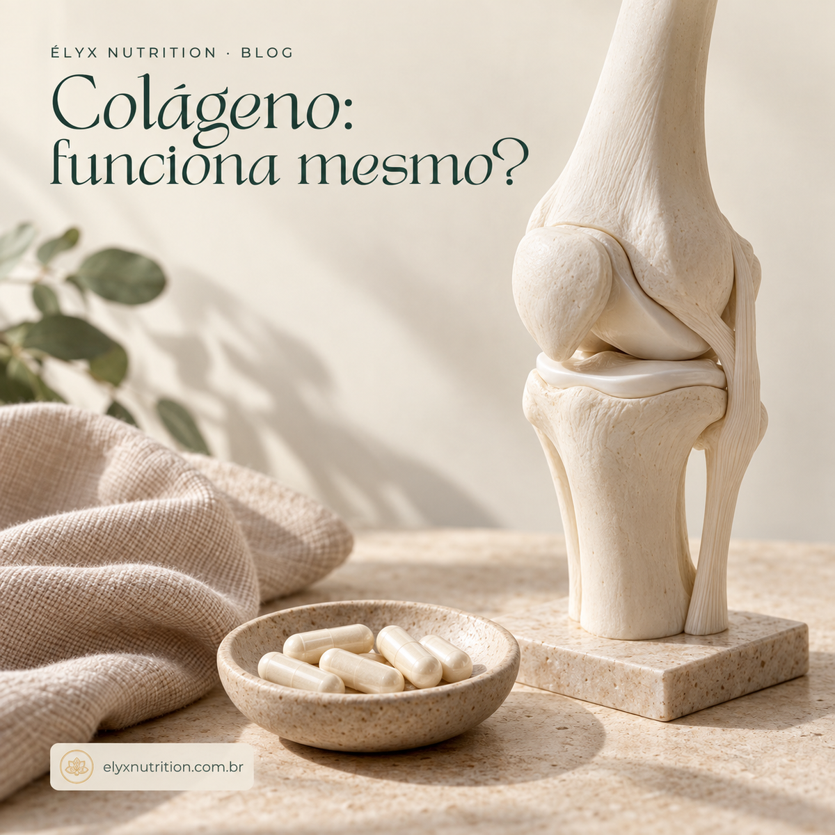 Capa do blog da Élyx sobre colágeno para articulações, com modelo anatômico de joelho, cápsulas sem marca e o título “Colágeno: funciona mesmo?”