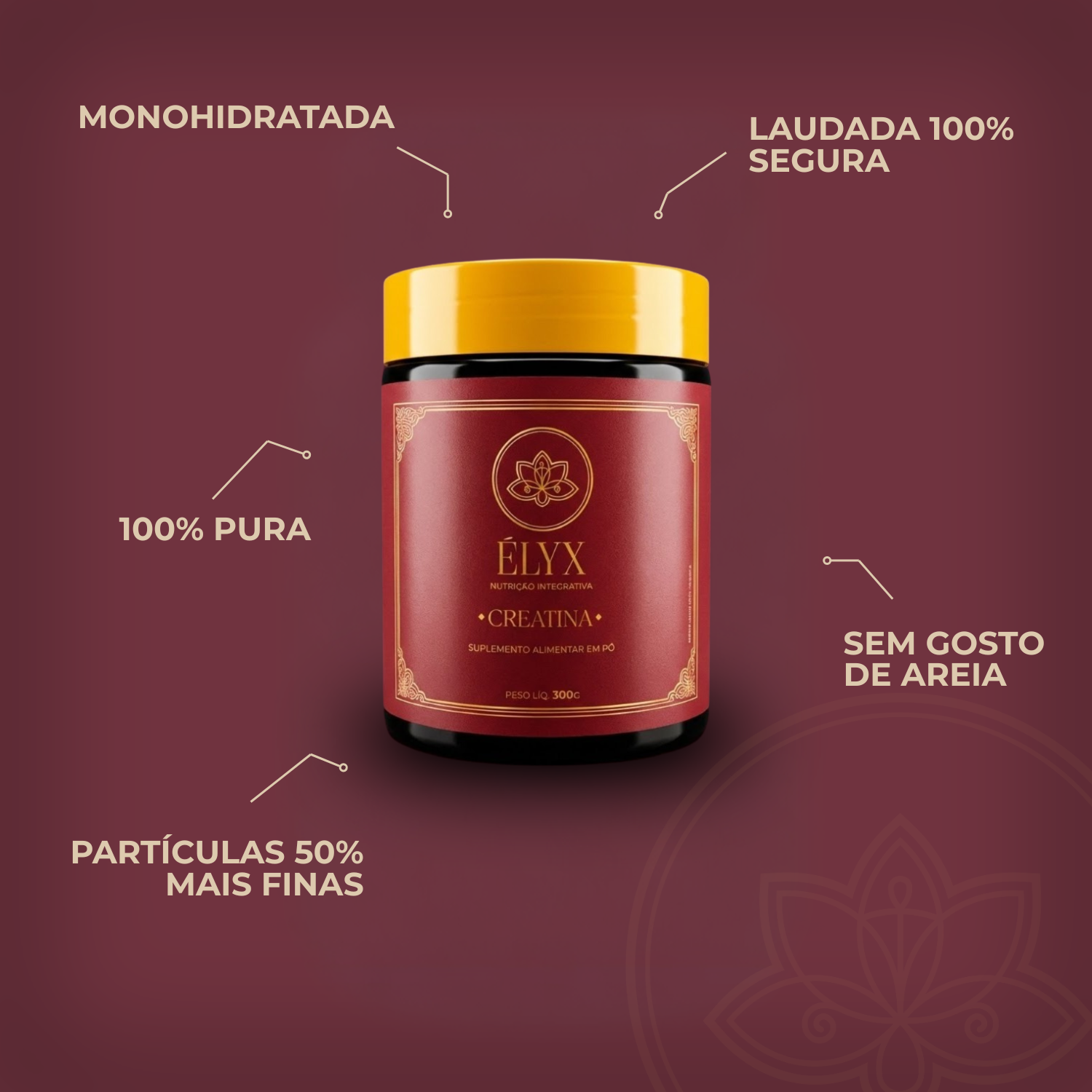 Creatina Monohidratada (300g)