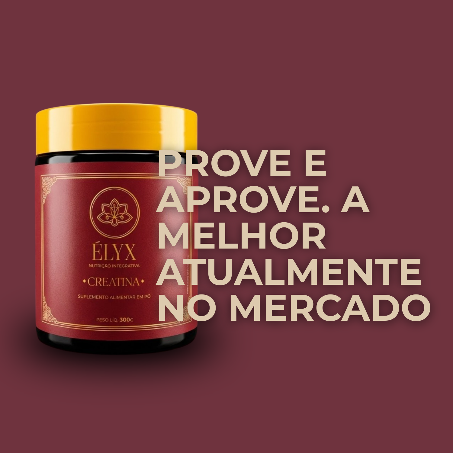 Creatina Monohidratada (300g)